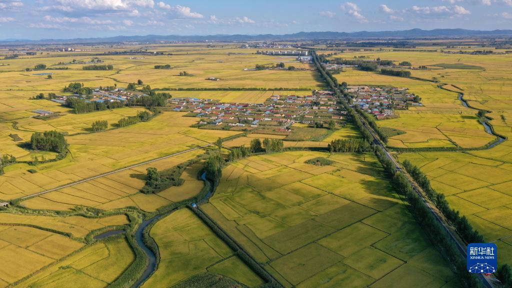 皇冠手机登录地址2